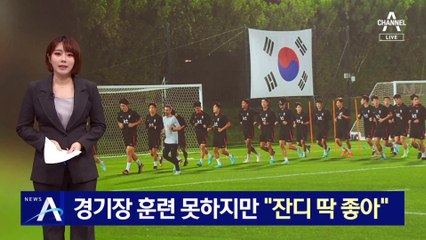 대표팀 현장 답사…경기장 훈련 못하지만 “잔디 딱 좋아”
