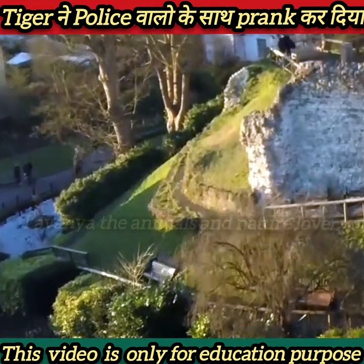 जब एक Tiger ने Police वालो के साथ Prank कर दिया