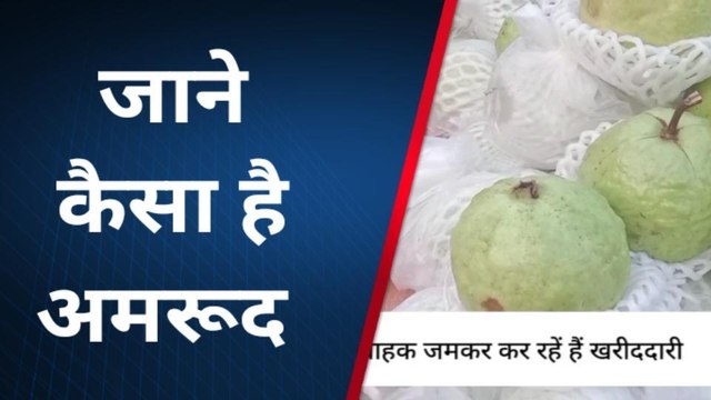 महराजगंज: सेब से महंगा बिक रहा विश्व प्रसिद्ध इलाहाबादी अमरूद, जाने वजह