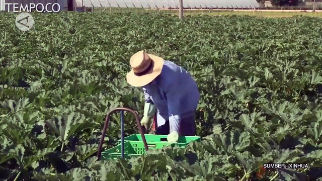 70 Persen Lebih Menular, Varian Baru Covid-19 Telah Menyebar ke Seluruh Eropa