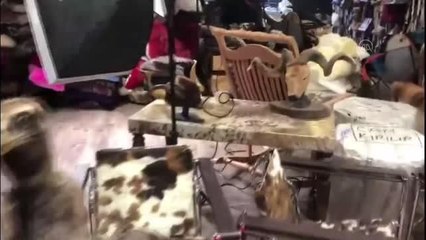 Küçükçekmece'deki kaçakçılık operasyonunda çok sayıda hayvan tahniti ele geçirildi