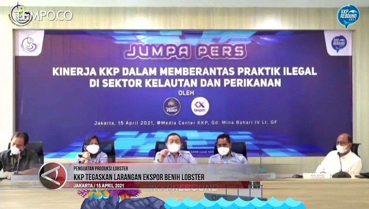 KKP Tegaskan Larangan Ekspor Benih Lobster