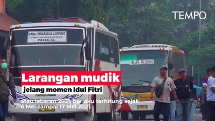 8 Wilayah Ini Boleh Mudik Lokal, Daerah Mana Saja Ya Kira-kira?