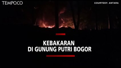 Kebakaran Hebat di Gunungputri Bogor Akibat Sambaran Petir 🔥