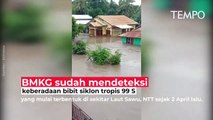Banjir Bandang di NTT, Kepala BNPB: Ada Informasi Badai Sejak Tanggal 2 April Lalu