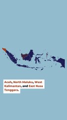 Embed Media Lab | Flash Nina Eng. Ver