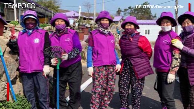 Semua Serba Ungu di Pulau Ungu Korea Selatan