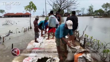 Dahsyatnya Abrasi di Pekalongan, Sisakan 30 Persen Hunian di Pantai Wonokerto