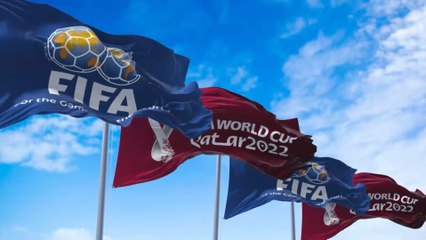 عائدات الفيفا من تنظيم بطولات كأس العالم