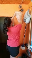 Trying to Trap a Wasp Nest