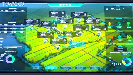 Cina Manfaatkan IoT untuk Lahan Pertanian