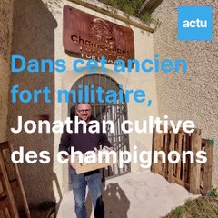 Champi'Alpes, une champignonnière dans un ancien fort militaire