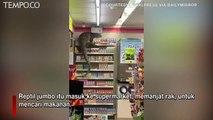 Biawak Jumbo Sepanjang 1,8 Meter Masuk Supermarket, Panjat Rak Cari Makanan