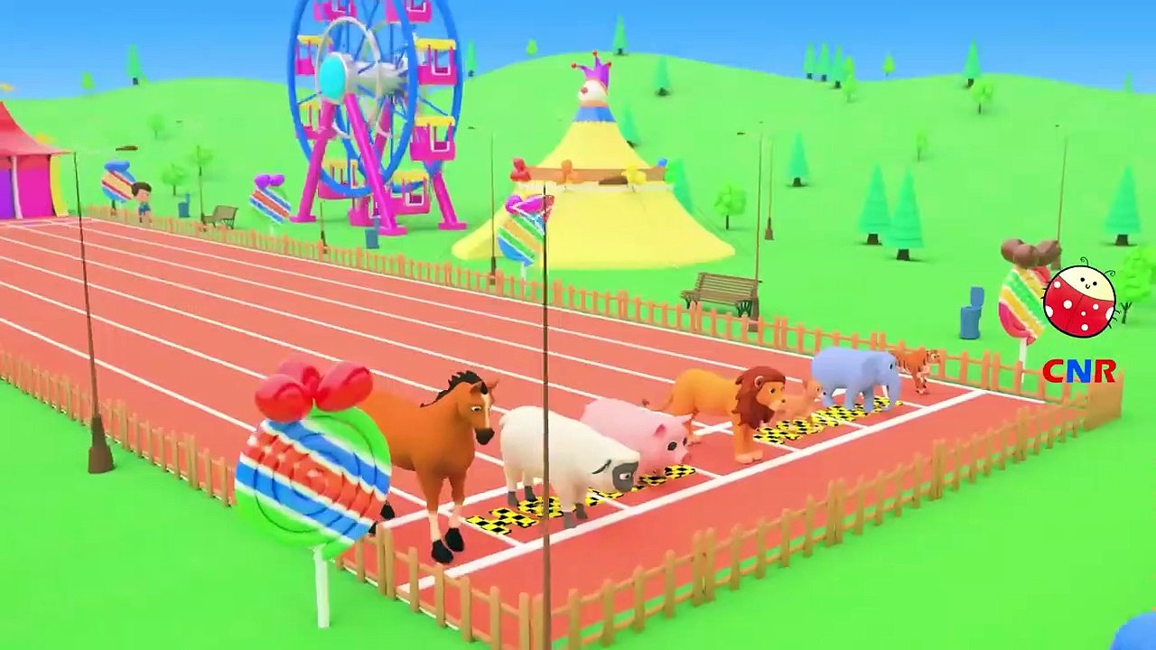 Animals for Kids and Toddlers SLIDDING INTO THE WATER, Funny Animals Videos for Kids and Songs