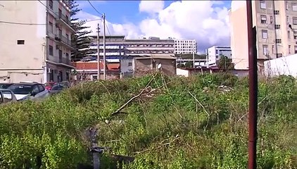 ARISME, BOTTA E RISPOSTA BASILE - GIORGIANNI