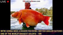 We're gonna need a bigger fish bowl! British angler catches one of the world's biggest goldfis - 1br