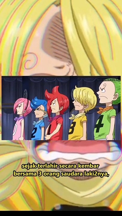 The DNA of the lunarian tribe in Sanji's body