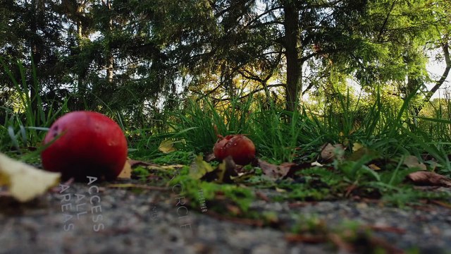 a bluesy journey - piano: christoph oeser; sax: doris assenheimer