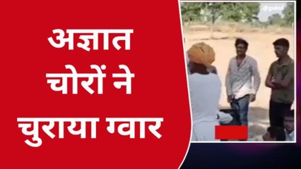 शिव: ग्रामीण इलाकों में चोरों का आतंक, किसान के &#039;सपनों&#039; को किया चोरी