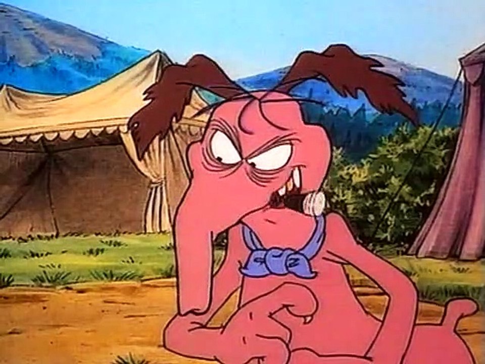 Die Raccoons - Der grenzenlose Himmel