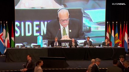 La OTAN reitera su apoyo a Ucrania en la Asamblea Parlamentaria de la Alianza celebrada en Madrid