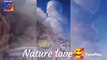 Real Nature love| sky hug | how's sky loving | amazing views  #viral #live #reels #shorts #love #inspiresemotions