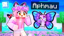 Helping My FRIENDS as a BUTTERFLY In Minecraft !  Aphmau
