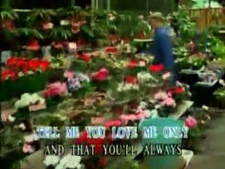 Are you lonesome tonight