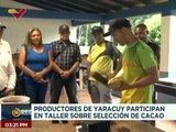 Yaracuy | Productores agrícolas participan en taller sobre selección de cacao