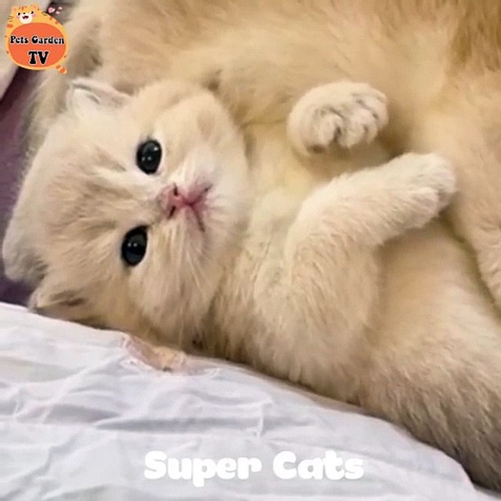 so cute