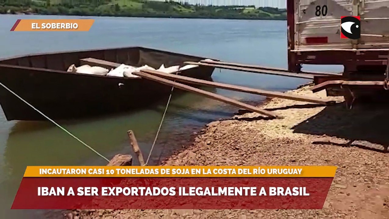 Iban a ser exportados ilegalmente a Brasil