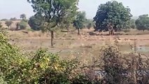 The canal broke, the hard work of the farmers got submerged