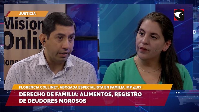 Derecho de familia: alimentos, registro de deudores morosos