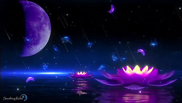 Bien Dormir Musique pour Trouver le Sommeil Réparateur Musique pour Dormir en 5 Minutes