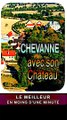 CHEVANNES et son chateau vu du ciel (Nièvre - Bourgogne Franche-Comté)