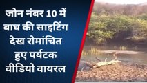 सवाईमाधोपुर: बाघ की साइटिंग देख रोमांचित हुए पर्यटक, देखिए वायरल वीडियो