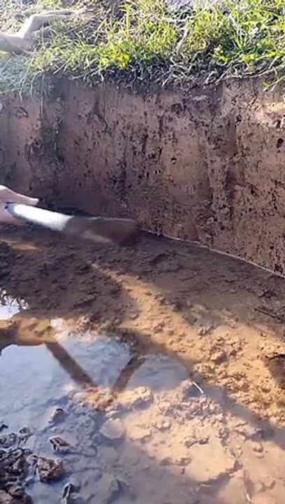 Amazing Rural Fishing Best Asian videos