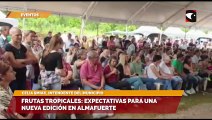 SALA CINCO - Almafuerte se prepara para la fiesta provincial de las frutas tropicales