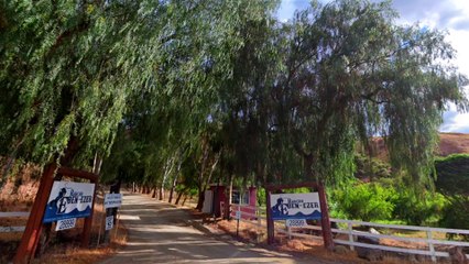 Unveiled Surviving La Luz Del Mundo