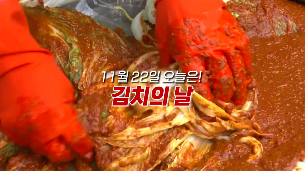 [영상] 11월 22일 '김치의 날'..."우리가 지켜야 할 전통 음식" / YTN