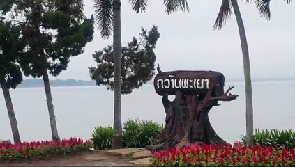 อากาศวันนี้ พะเยาหมอกลงจัดหลายพื้นที่ อุณหภูมิยอดดอยต่ำสุด 13 องศาฯ