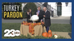 Traditional presidential turkey pardoning takes place at the White House