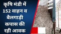 खरगोन: कृषि मंडी में 152 वाहन बैलगाड़ी कपास की रही आवक, जानिए क्या रहे भाव