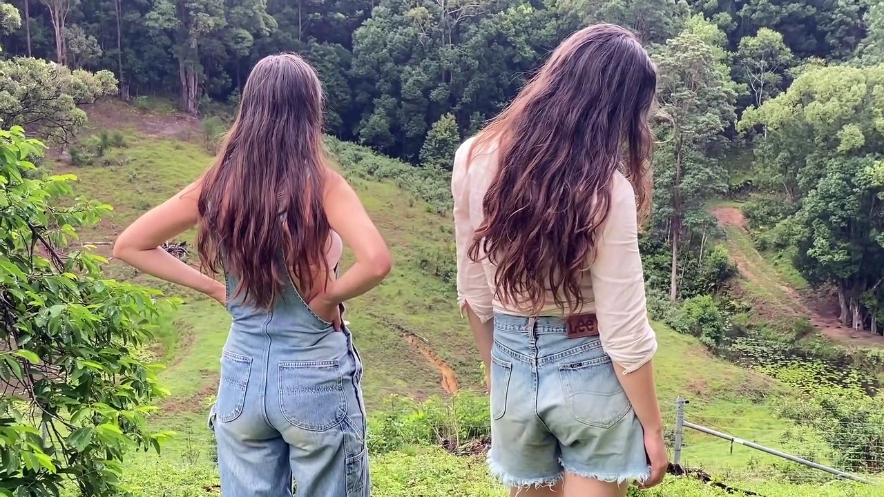 Daily Routines In The Australian Rainforest