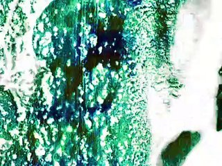 Blood surf Bande-annonce (EN)