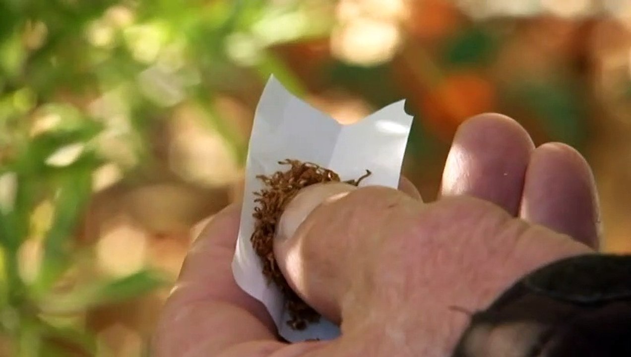 Alcohol, other drugs, and gambling cost Australia $80 billion in 2021