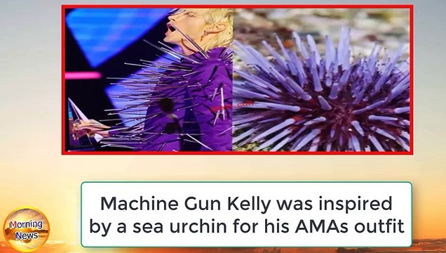 Machine Gun Kelly was inspired by a sea urchin for his AMAs outfit(3)