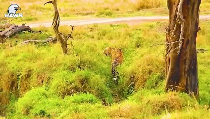 30 Wild Animals Bravely Fought To Protect Their Child (2)