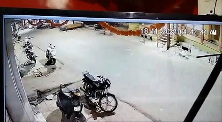 car theft, driver thief, mistress, businessman, intention