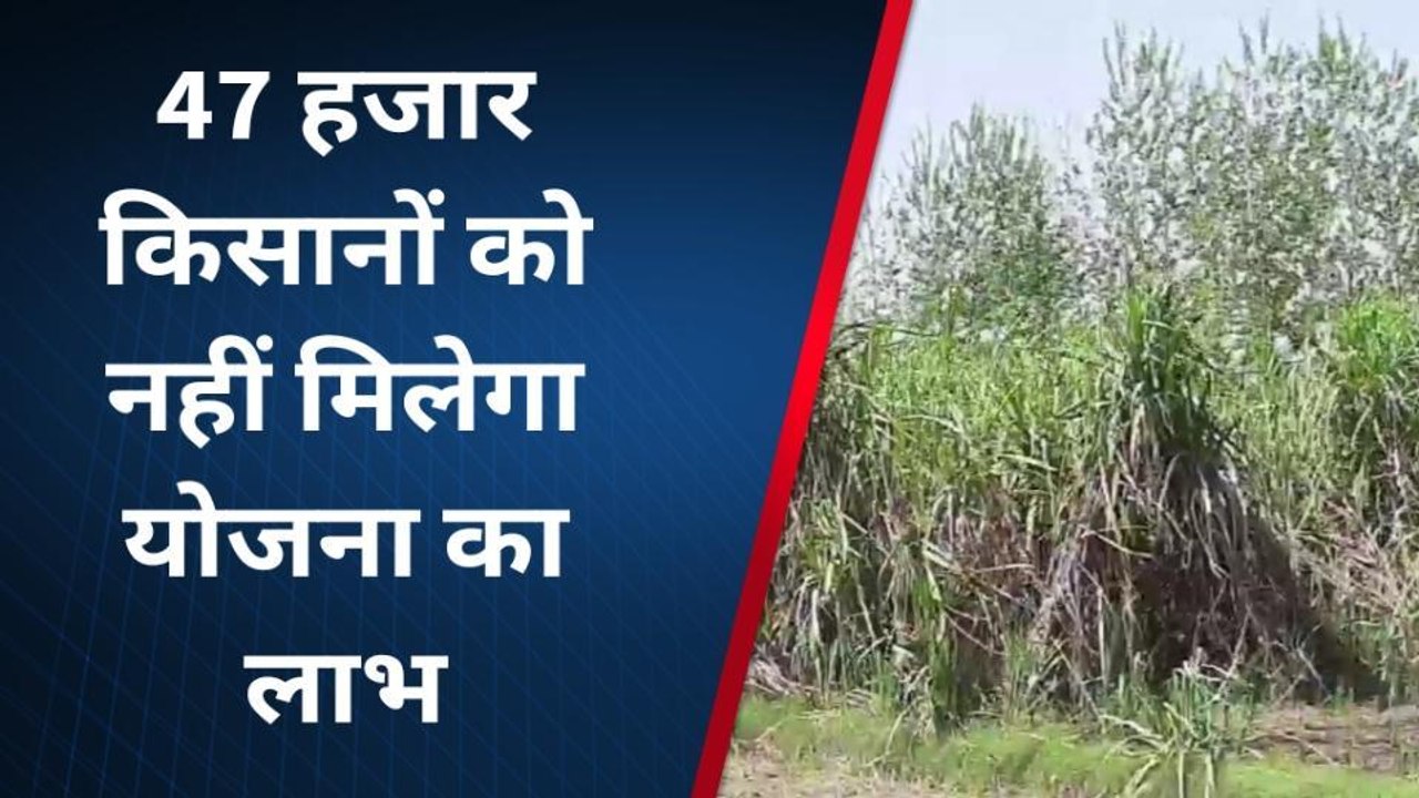 सहारनपुर: 47 हजार किसानों को नहीं मिलेगा योजना का लाभ, जानिए वजह